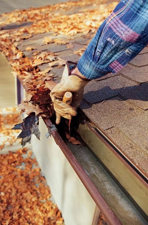 About | KYG Gutter Cleaning & Repairs | Lynn Attic Door Insulation, Gutter Cleaner, Attic Office, Attic Doors, Gutter Cleaning, Attic Conversion, Attic Stairs, Attic Bathroom, Door Insulation