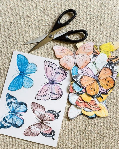 Diy Butterfly Art, Butterfly Diy Decorations, Diy Butterfly Decor, Butterfly Diy Crafts, Butterfly Wall Decor Diy, Entomology Decor, Butterfly Study, Diy Butterfly Decorations, Butterfly Wall Art Diy