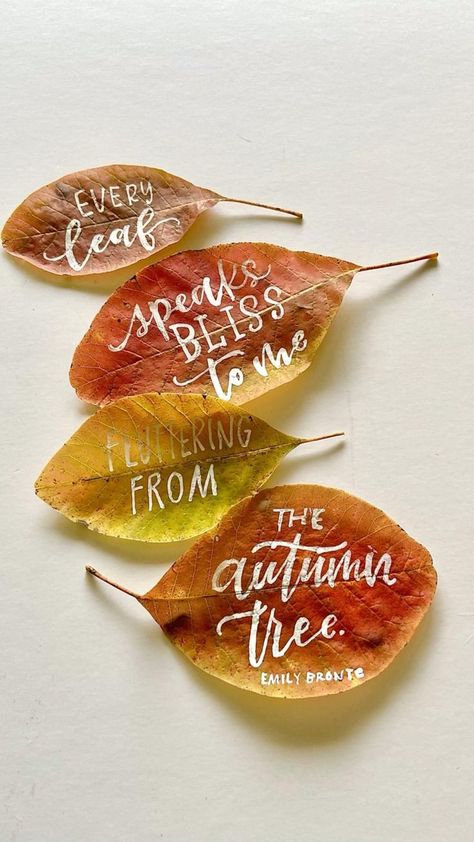 Writing on Leaves | Leaf craft activities, Hand lettering tutorial, Letter a crafts Leaf Journal, Leaf Craft Activities, Leaf Craft, Recycle Crafts Diy, Calligraphy Lessons, Sharpie Crafts, Diy Leaves, Word Patterns, Hand Lettering Cards