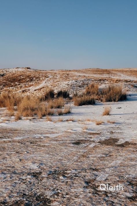 Snow covered dry brown grassland in winter with blue sky. Post Backgrounds, Happy Birthday Wishes Song, Plains Landscape, Birthday Wishes Songs, Aesthetic Post, Laura Ingalls Wilder, Landscape Photos, Habitat, Blue Sky