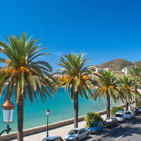 Salut les amis ! Qui connaît la magnifique Plage de Marinella à Ajaccio en Corse ? 🏖️☀️ C'est l'endroit parfait pour se détendre, nager dans une eau cristalline et profiter du soleil corse. Qui serait partant pour une journée plage à Marinella ? #corsicacamping #corsica #corse #igerscorsica #iledebeaute #corsicanlife #corsicaisland #corse_ile_de_beaute #corsica_focus_on #igerscorse #corsicanlandscapes #igerscorsica_natura #camping #campingcorse Ajaccio Corsica, South Of France, Desktop Screenshot, France