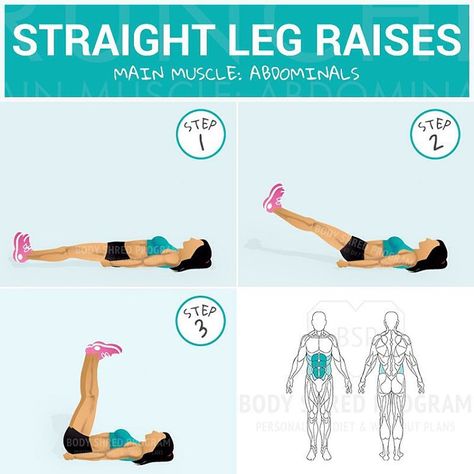 “Double tab if you want more exercise explanations  - Straight Leg Raises Main muscle: Abdominals - Starting position: Lie on your back on the floor or…” Leg Raise, Straight Leg Raise, Glute Bands, Compound Exercises, Knee Exercises, Abs Workout Routines, Leg Raises, Workout Guide, Lean Muscle