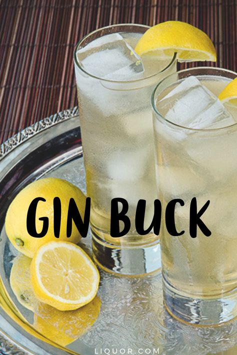 Gin Buck, Popular Summer Cocktails, Gin Drink Recipes, Easy Gin Cocktails, Best Gin Cocktails, Gin Drinks, Summertime Drinks, Gin Cocktail, Easy Drinks