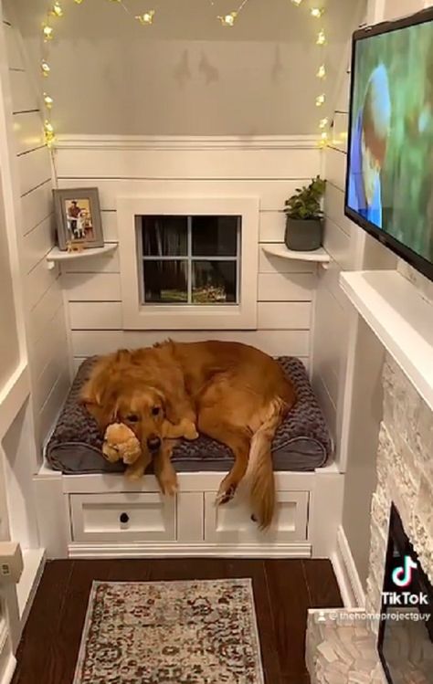 Diy Dog House Indoor Living Rooms, Dogs House Indoor, Dog Bed Room, Doghouse Indoor, Dogs Apartment Living, Dog House Inside Home, Understairs Dog House, Dog Apartment, Cute Dog Houses Indoor