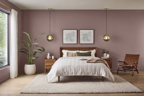 Bedroom Contrast Wall Paint Colors, Soft Bedroom Colors Wall, Small Guest Bedroom Paint Ideas, Main Bedroom Color Ideas, Sherwin Williams Purple Bedroom, Paint Colors For Guest Bedroom, Bedroom Accent Wall Paint Colors, Calming Bedroom Paint Color Ideas, Colored Bedroom Walls