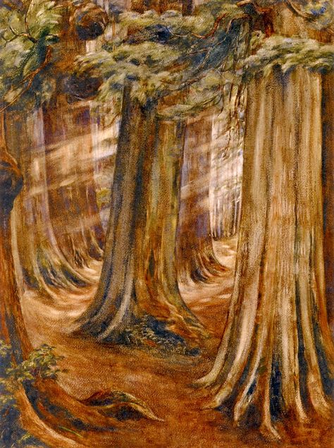 Wood Interior (watercolor on paper) 1909, Emily Carr Emily Carr Paintings, Lawren Harris, Tom Thomson, Vancouver Art Gallery, Emily Carr, Interior Artwork, Art Chinois, Canadian Painters, Captivating Art