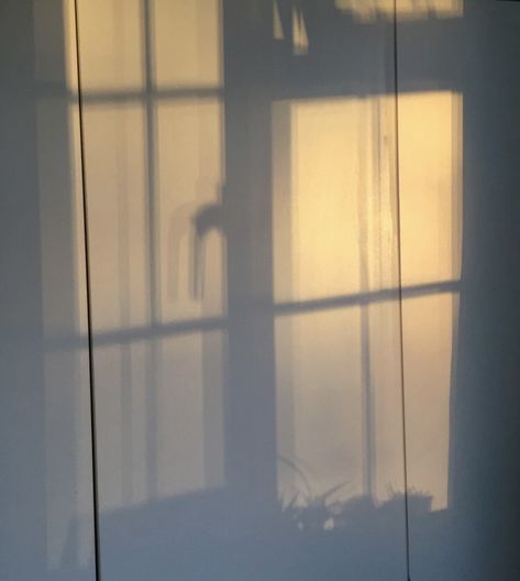 #sun #shadow #window Sun Shadow Window, Chameleon Aesthetic, Yellow Grey Wallpaper, Shadow Window, Shadow Background, Sun Lamp, Shadow Shadow, Window Shadow, Sun Shadow