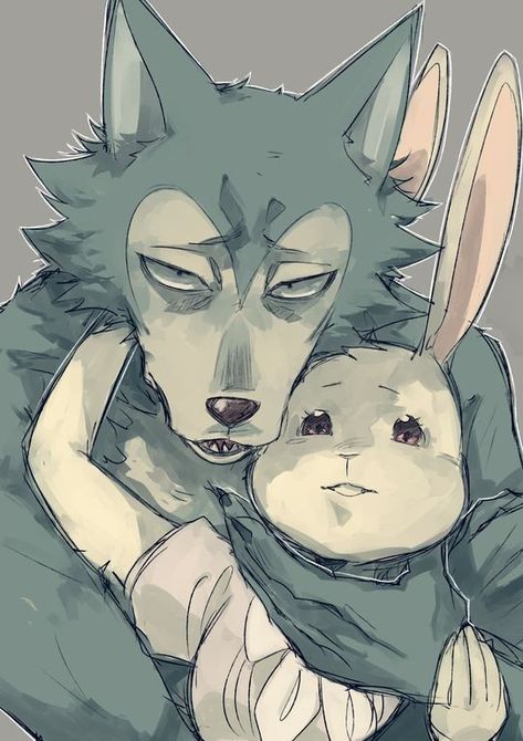 Legoshi Fanart, Beastars Haru, Anime Vs Manga, Beastars Fanart, Beastars Legoshi, A Wolf, Persona, Wallpapers, Anime