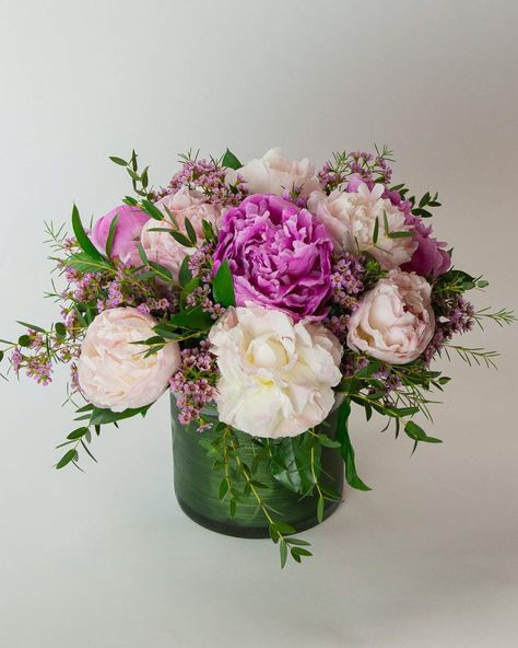 About Peonies, PleaseGive that special someone the gift of heavenly, fragrant peonies. The Peonies, Please arrangement is packed with 10 fresh peonies in assorted colors atop a bed of pink waxflower and gunni eucalyptus expertly designed in... Peony Arrangement Ideas, Peony Flower Arrangements, Good Shabbos, Peony Arrangement, Paper Flower Arrangements, Rose Flower Arrangements, Fresh Flowers Arrangements, Peony Flower, Flower Delivery