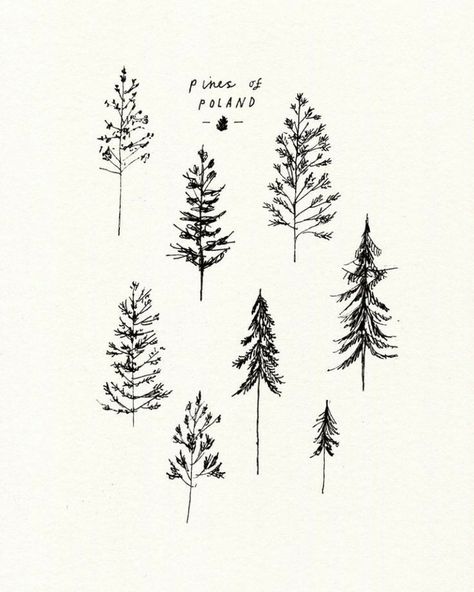 Raven Tattoo Design, Tattoos To Draw, Evergreen Tattoo, Simple Tree Tattoo, Tree Tat, Pine Tattoo, Tree Tattoos, Pine Tree Tattoo, Raven Tattoo