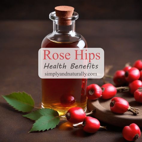 Rose Hips Health Benefits - Simply and Naturally Rose Hip Benefits, Rose Hip Oil Benefits, Rose Hips Benefits, Rosehip Oil Benefits, Rosehip Tea, Rose Hip Oil, Clove Essential Oil, Rose Hips, Healthy Eyes