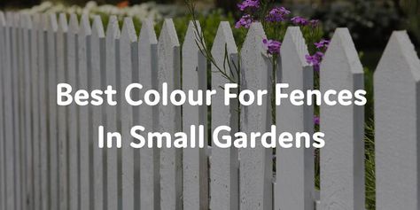 Best Colour For Fences In Small Gardens Garden Fences Painted Colour, Grey Fence Garden Ideas, Garden Fence Colours Ideas, Painted Fence Ideas Colour, Fence Color Ideas Paint, Fence Painting Ideas Colour, Fence Colour Ideas, Painted Garden Fence, Garden Fence Colours