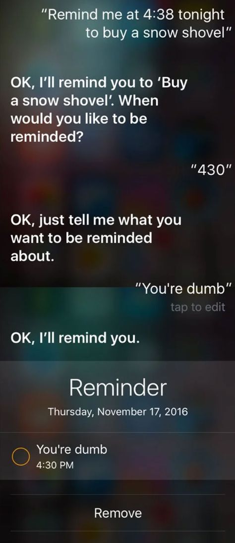 30 Times People Asked Siri Stupid Questions And Got The Stupid Answers They Deserved Things To Ask Siri Hilarious, Funny Siri Questions, Funny Siri Responses, Siri Questions, Siri Funny, Ask Siri, Things To Ask, Things To Ask Siri, Make Mistakes