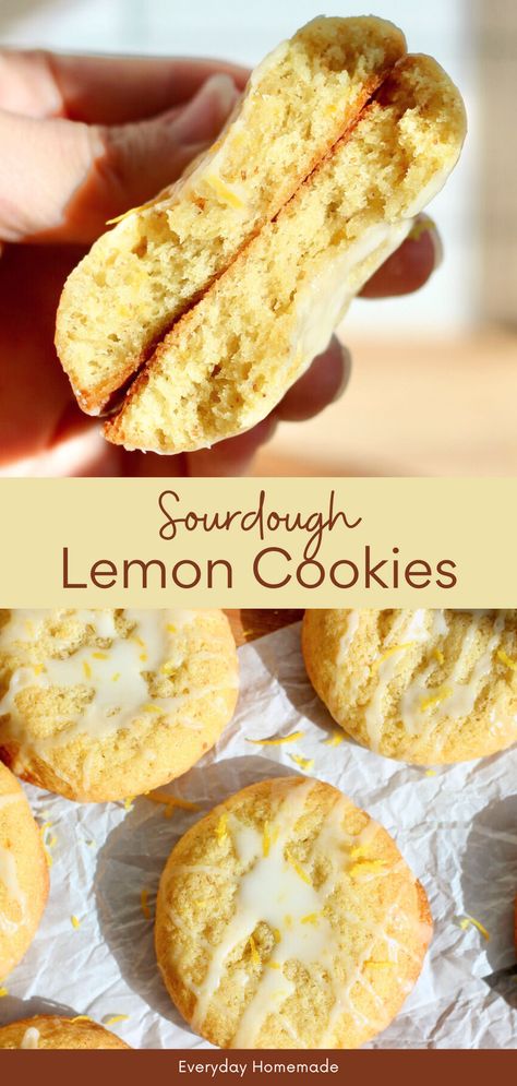 These soft and chewy Sourdough Lemon Cookies are the perfect citrus-flavored dessert! Made with sourdough starter discard, lemon juice, zest, and extract, they’re bright, fresh, and easy to make. Topped with a sweet lemon icing, these sourdough Christmas cookies make a wonderful gift. They're also perfect for spring celebrations like Easter or Mother's Day. Whip up a batch same-day or make ahead for a quick, sweet sourdough treat! Sourdough Discard Recipes Scones, Sourdough Lemon Cookies, Sourdough Cookies Recipe, Sourdough Christmas, Sourdough Lemon, Sourdough Cookies, Homemade Sourdough Bread Recipes, Funfetti Cookies, Starter Recipe