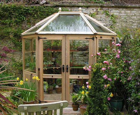 Timber Greenhouse, Wooden Garden Buildings, Cedar Greenhouse, Lean To Greenhouse, Aesthetic Header, Build A Greenhouse, Indoor Greenhouse, Greenhouse Interiors, Home Greenhouse