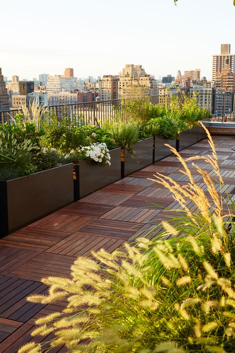 Rooftop Planters, Rooftop Patio Design, Terraced Landscaping, Roof Garden Design, Terrace Garden Design, Terrace Decor, Rooftop Terrace Design, Rooftop Design, Rooftop Patio