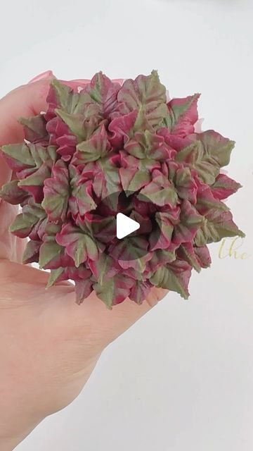 Kirsty on Instagram: "Nice and easy succulent made out of buttercream ♥️ we sell lots of different leaf piping tips which you can check out on our website. Link in our bio #buttercreamdream #cakemasters #cupcakeartist #cupcakeinspo  #caketutorial #pipingtips #ediblebouquet #edibleroses #floristandflowers #caketutorials #cupcakeinspo #cupcakeartist #cupcakeart #cupcakelove #customcupcakes #americanbuttercream #flowercupcakes #bakingreels #reelife #cupcakereels #cakedecoratingreel #cakereel #cakereels #buttercreampetals #buttercreamflower #cakeflower #flowercakes #handmadeflowers #pipingreels #buttercreamdecorating #pipingnozzles #bouquetofcupcakes" Leaf Cupcakes, Cupcake Piping, Succulent Cupcakes, Christmas Themed Cake, Edible Roses, Buttercream Decorating, Edible Bouquets, Cupcake Tutorial, Christmas Easy