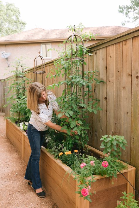 Raised Bed Kitchen Gardens Fit in Small Spaces in Houston Texas — Rooted Garden Small Kitchen Garden, Kitchen Garden Design, Backyard Raised Garden, Houston Garden, Garden Bed Layout, Raised Bed Garden Design, Tattoo Plant, Cedar Garden, Small Vegetable Gardens