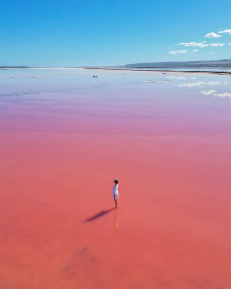 Australian art 🍬 That is how you can describe this pink lake in Western Australia. Hutt Lagoon totally lives up to its name and is a must when traveling to this part in Aussie! ⏱️Best time to visit is between 10 am and 2 pm for the most vibrant colors Have you ever visited a pink lake and was it worth it? 🌸 • • • #pinklake #westernaustralia #huttlagoon #portgregory Lake Photo Ideas, Hutt Lagoon, Pink Lagoon, Was It Worth It, Pink Lake, Lake Photos, Australian Art, Western Australia, Worth It