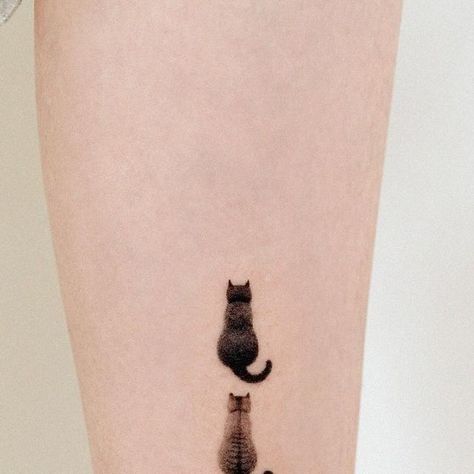 Cat Tail Tattoo, Cat Ears Tattoo, Cat Ear Tattoo, Theatre Tattoo, Inner Ear Tattoo, Shape Tattoo, Cat Tail, Cat Tattoo, Ear Tattoo