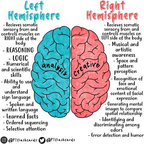 Physcology Facts Body Language, Physology Fact, The Brain Notes, Brain Diagram Anatomy, Neuropsychology Aesthetic, Neuroscience Notes, Neurologist Aesthetic, Neuroscience Aesthetic, Neurosurgery Study