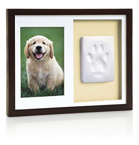 Tiny Ideas Dog or Cat Paw Print Keepsake Wall Frame Kit * Visit the image link more details. (This is an affiliate link) #dogmemorials Paw Print Keepsake, Pet Memory, Pet Keepsake, Cat Paw Print, Pet Ashes, Cat Memorial, Cat Paw, Pet Paws, Wall Frame