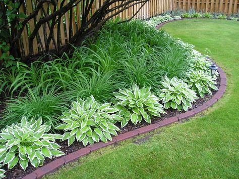 Daylilies & Hostas | Under the Lilacs | By: erin lanigan | Flickr - Photo Sharing! Low Maintenance Landscaping, Have Inspiration, Daylilies, Outdoor Landscaping, The Grass, Lawn And Garden, Shade Garden, Raised Garden, Front Garden