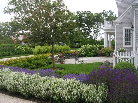 Front Porch Landscaping Ideas, Cape Cod Landscaping, Beach House Garden, Shade Garden Design, Cape Cod Style House, Cape Cod Beaches, Cape Cod Style, Low Maintenance Landscaping, Traditional Landscape