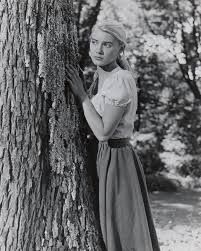 Hope Lange Peyton Place, Young Actresses, Golden Age Of Hollywood, Golden Age, Tulle Skirt, That Look, Tv Shows, Vintage Fashion, Hollywood