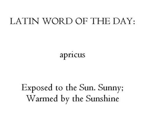 Latin Quotes, Latin Phrases, Latin Word, Word Nerd, Unusual Words, Rare Words, Latin Words, Aesthetic Words, Word Of The Day