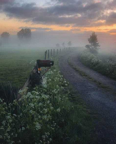 Morning Mist, Foggy Morning, You Deserve It, Country Road, Country Life, Farm Life, Nature Beauty, Beautiful Landscapes, You Deserve