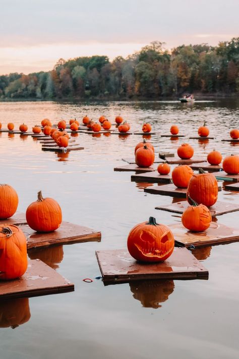 Best Places to Visit for Halloween Lovers - theamandabittner.com Wallpaper Fall Aesthetic, Halloween Destinations, Treehouse Airbnb, Halloween Usa, Haunted Hotels, Halloween Eve, Wallpaper Fall, Halloween Travel, Porch Pumpkins