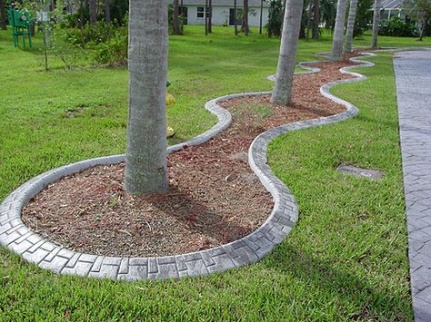 Around Trees - After 3 Edging Around Tree, Landscaping Around Trees Front Yards, Tree Edging, Deck Around Trees, Driveways Landscaping, Tree Circle, Tree Borders, Landscaping Around Trees, Outdoor Gardens Landscaping