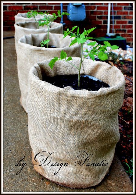 Grow Tomatoes In 5 Gallon Buckets  Next year I'll wrap my buckets in burlap it looks so much nicer than the unsightly blaze orange Home Depot buckets. Tomatoes In 5 Gallon Buckets, Growing Tomatoes Indoors, Tomato Planter, Growing Tomato Plants, Bucket Planters, 5 Gallon Buckets, Growing Tomatoes In Containers, Bucket Gardening, Grow Tomatoes