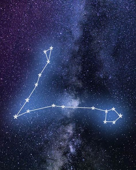 DA FISHEYS IN FLIPIN LATIN!!!!! Pisces Star Constellation, Pisces Constellation Art, Pisces Constellation Tattoo, Tattoo Zodiac, Aesthetic Stars, Zodiac Aesthetic, Pisces Constellation, Pisces Tattoos, Constellation Tattoo