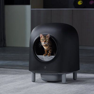 The automatic litter box adopts the design concept of cat body engineering in hardware. It has an excellent self-cleaning function, prevents the safety hazards caused by the traditional automatic cat litter box, and has eight safety devices. This product has an app compatible with iOS/android and can be controlled remotely. | Tucker Murphy Pet™ Automatic Smart Cat Litter Box-black Black 25.0 x 20.0 x 20.0 in, Plastic | C011239120_1179054224 | Wayfair Canada Cat Litter Box Diy, Cat Litter Box Ideas, Litter Box Ideas, Hiding Cat Litter Box, Diy Litter Box, Best Litter Box, Automatic Litter Box, Litter Box Covers, Cleaning Litter Box