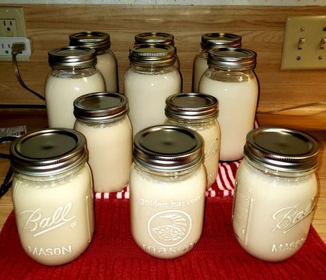 Creamy Delights: A Guide to Canning Milk for Versatile and Long-lasting Dairy Goodness Canning Milk Pressure, Canning Sweetened Condensed Milk, Canning Evaporated Milk, Canning Condensed Milk, Canning Milk Water Bath, Canning Milk, Pickled Foods, Sweetened Condensed Milk Recipes, Milk Gravy