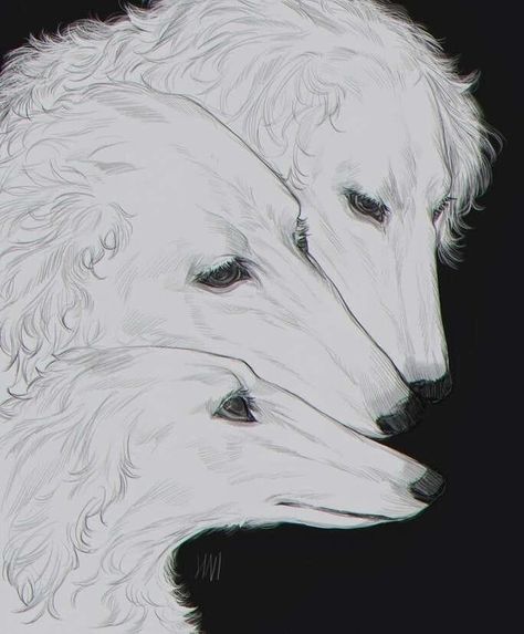 Borzoi Art, Borzoi Dog, My Angel, Arte Sketchbook, Arte Inspo, Dog Drawing, White Dogs, Art Inspiration Drawing, Art Reference Photos