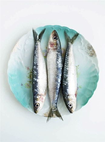 Objectif cuisine : première étape Food Photography Styling, Fresh Fish, Fish Art, Beautiful Food, Still Life Photography, Food Styling, Food Photo, Sea Creatures, Food Pictures