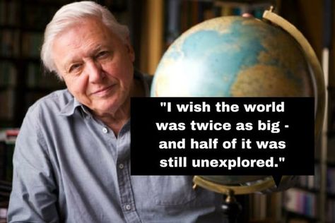 David Attenborough Quotes, Save Our Earth, David Attenborough, Unbelievable Facts, Human Behavior, Save Earth, Nature Quotes, Staying Alive, Real Love