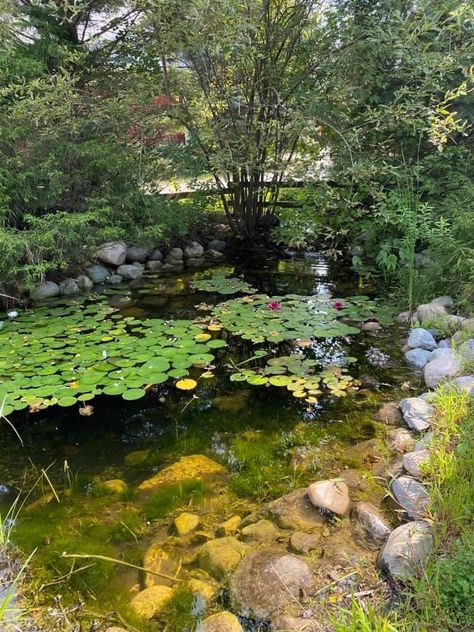 Outdoor Bathtubs, Dragonfly Pond, Outdoor Bathtub, Garden Pond Design, Diy Pond, Pond Ideas, Painting Reference, Water Gardens, Pond Design