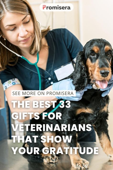 Veterinarians are the backbone of the animal healthcare industry, dedicating their lives to treating and healing our beloved pets. That's why it's important to show them our appreciation with thoughtful gifts for veterinarians. Gifts for veterinarians can be both practical and heartfelt, with a wide range of options to suit any budget or taste. Gifts For Veterinarians, Healthcare Industry, Veterinarian, Thoughtful Gifts, Gratitude, Health Care, Healing, Range, Gifts