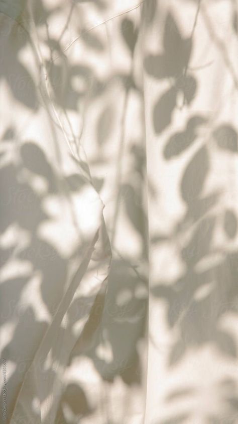 White Leaf Shadow Wallpaper, Light Aesthetic Pictures, White Fabric Aesthetic, Plant Shadow Aesthetic, Flower Shadow Aesthetic, Tree Shadow Photography, Shadow Photography Aesthetic, Fabrics Aesthetic, Light Shadow Photography