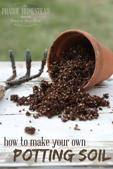 Soil Recipe, The Prairie Homestead, Prairie Homestead, Food Gardening, Garden Hacks, Homestead Gardens, Homemade Products, Urban Homesteading, Plant Ideas