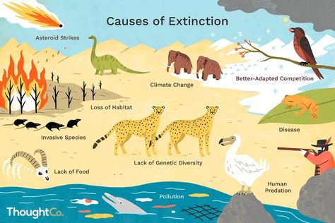 Top 10 Reasons Why Plants and Animals Go Extinct Animal Extinction Poster, Extinction Of Species, Animal Extinction, Environmental Posters, Science Drawing, Species Extinction, United Nations Environment Programme, Powerpoint Background, Nuclear Energy