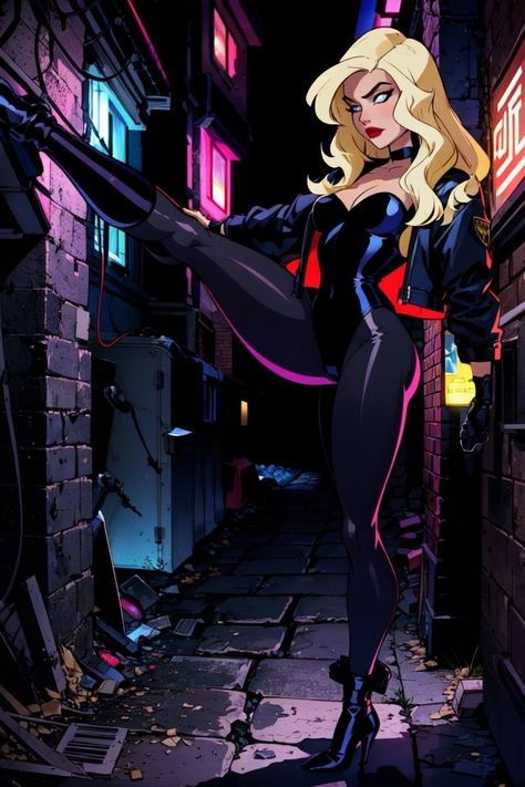 Female Dc Cosplay, Black Canary Fanart, Black Canary Art, Black Canary Dc, Black Canary Comic, Dc Black Canary, Batman Wall, October Mood, Dc Comics Women