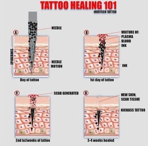 Aftercare Ideas, Tattoo Needle Sizes, Tattoo Aftercare Tips, Tattoo Artist Tips, Tattoo Healing Process, Learn To Tattoo, Wheel Tattoo, Tattoo Apprenticeship, Tattoo Techniques