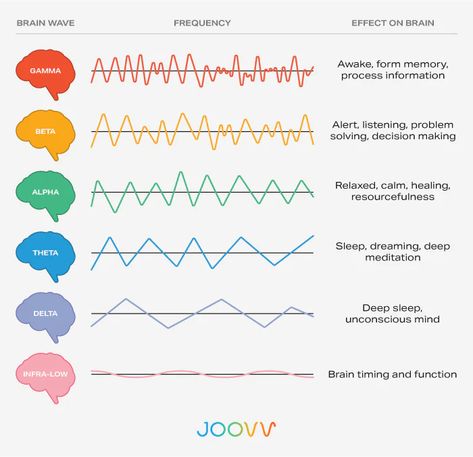 Types of Brain Waves and The Impact of Pulsed Light Therapy | Joovv Body Anatomy Organs, Anatomy Organs, Infrared Light Therapy, Motor Neuron, Mental Health Facts, Doctors Note, Infrared Light, Sound Meditation, Body Anatomy