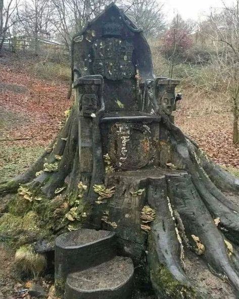 archaeology on Instagram: “A throne carved into a tree trunk in Kendal, England. It was sculpted by artist Andy Levy in 2012 with a chainsaw and chisel into the stump…” Tree Trunk Drawing, The Boogeyman, Tree Carving, Trendy Tree, Tree Stump, Album Design, World Building, Cumbria, Cool Places