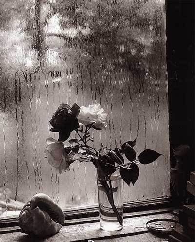 josef_sudek_06 Joseph Sudek, Rainy Photos, Josef Sudek, Andre Kertesz, I Love Rain, Flowers In Vase, Robert Doisneau, Love Rain, Black And White Photograph